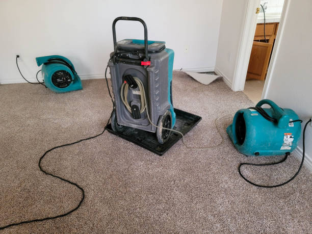 Best 24/7 water damage repair  in Athens, AL