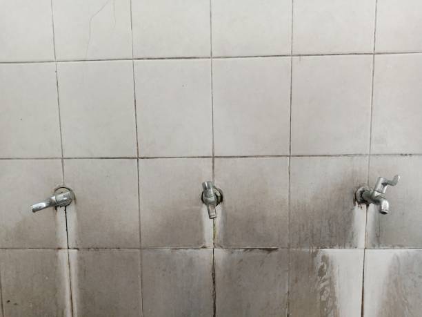 Reliable AL Water damage restoration Solutions