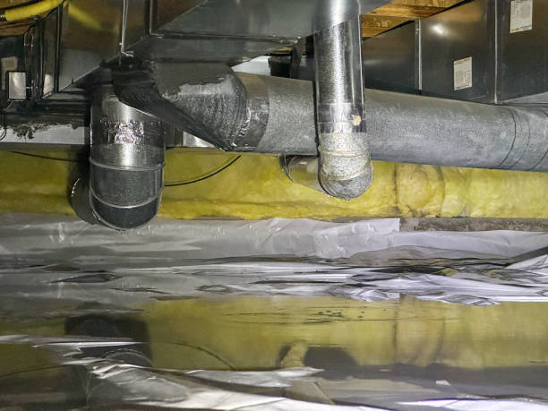 Best Water damage restoration near me  in Athens, AL